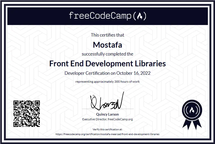 frontend development